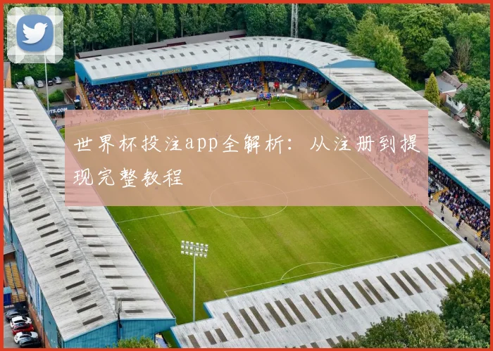 世界杯投注app全解析:从注册到提现完整教程