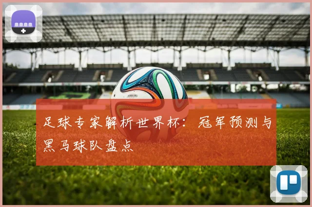 足球专家解析世界杯：冠军预测与黑马球队盘点