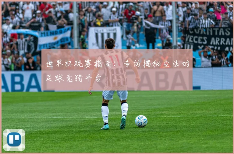 世界杯观赛指南:专访揭秘合法的足球竞猜平台