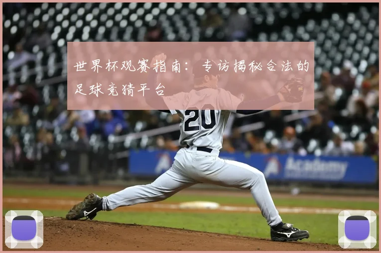 世界杯观赛指南:专访揭秘合法的足球竞猜平台