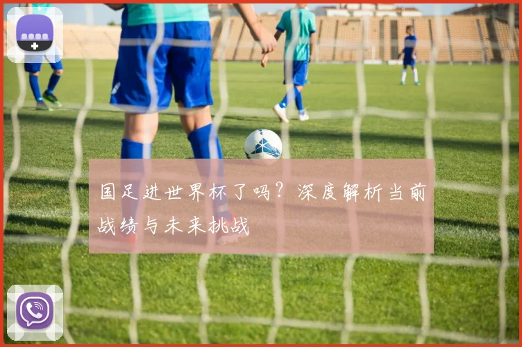 国足进世界杯了吗?深度解析当前战绩与未来挑战