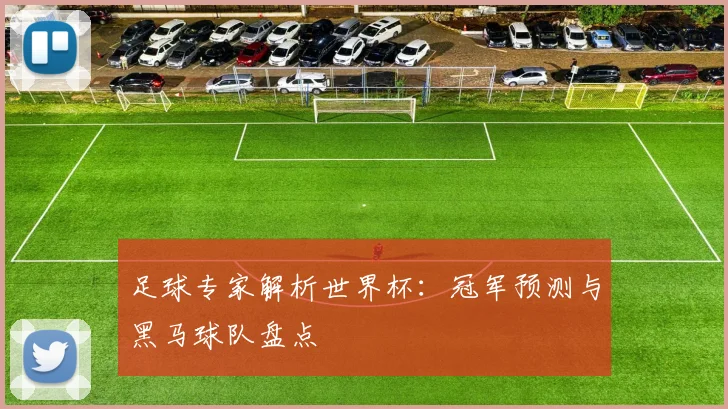足球专家解析世界杯：冠军预测与黑马球队盘点