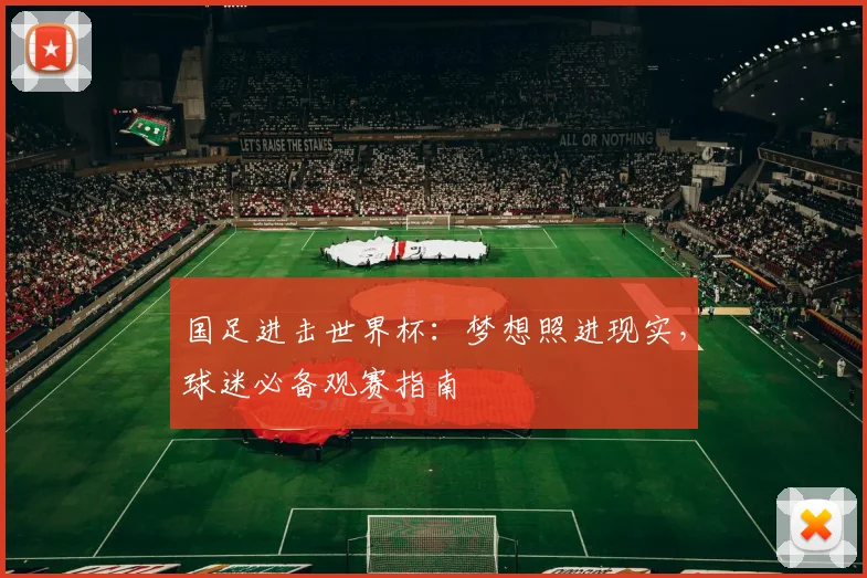 国足进击世界杯：梦想照进现实，球迷必备观赛指南