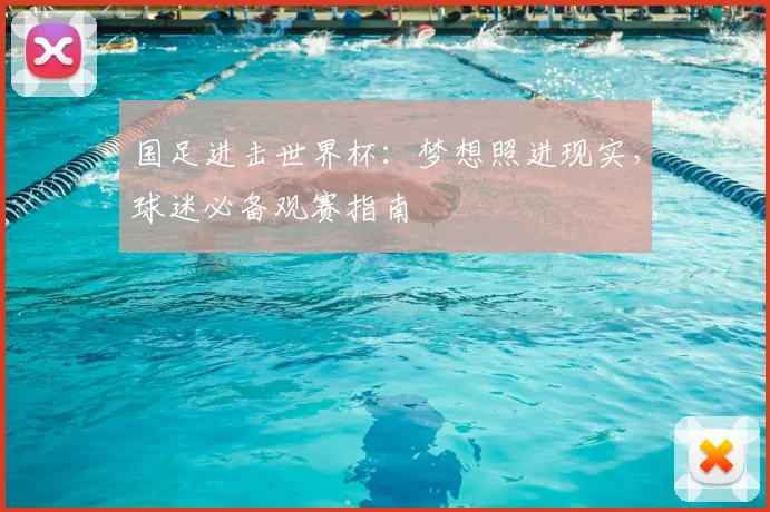 国足进击世界杯：梦想照进现实，球迷必备观赛指南