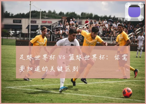 足球世界杯 vs 篮球世界杯：你需要知道的关键区别