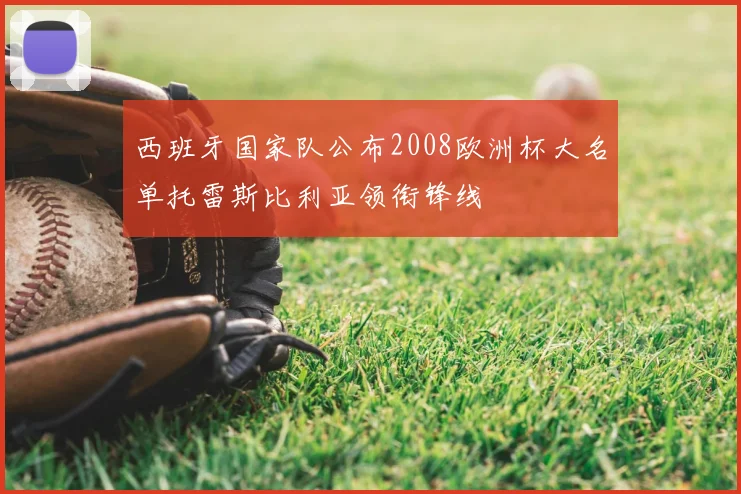 西班牙国家队公布2008欧洲杯大名单托雷斯比利亚领衔锋线