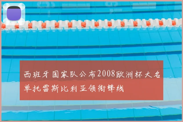 西班牙国家队公布2008欧洲杯大名单托雷斯比利亚领衔锋线
