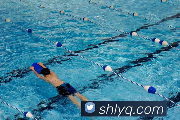 米兰体育网页官网平台生态图